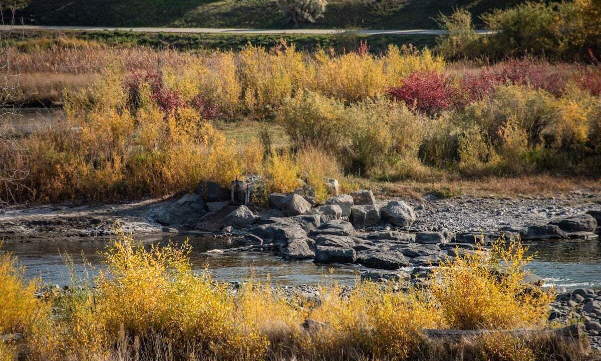 Photo of Outdoor in Pagosa Springs
