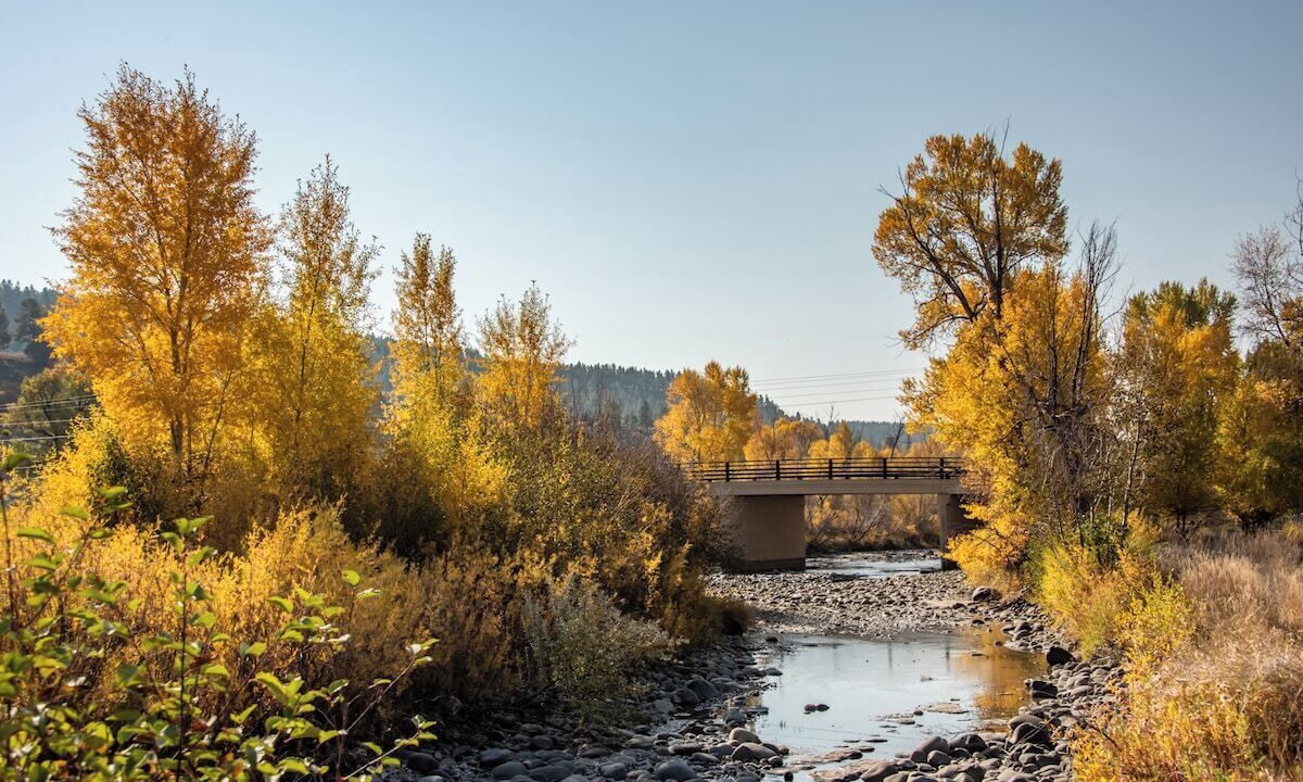 Photo of Outdoor in Pagosa Springs