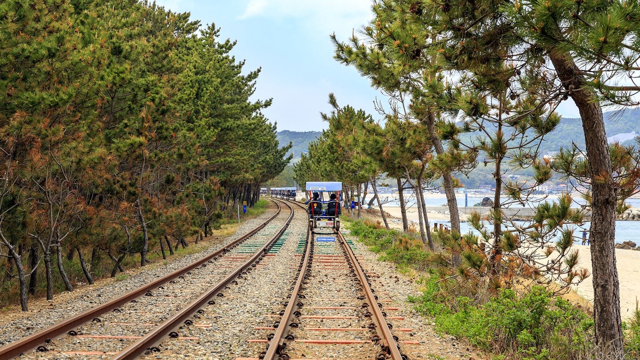 Photo of Outdoor in Samcheok