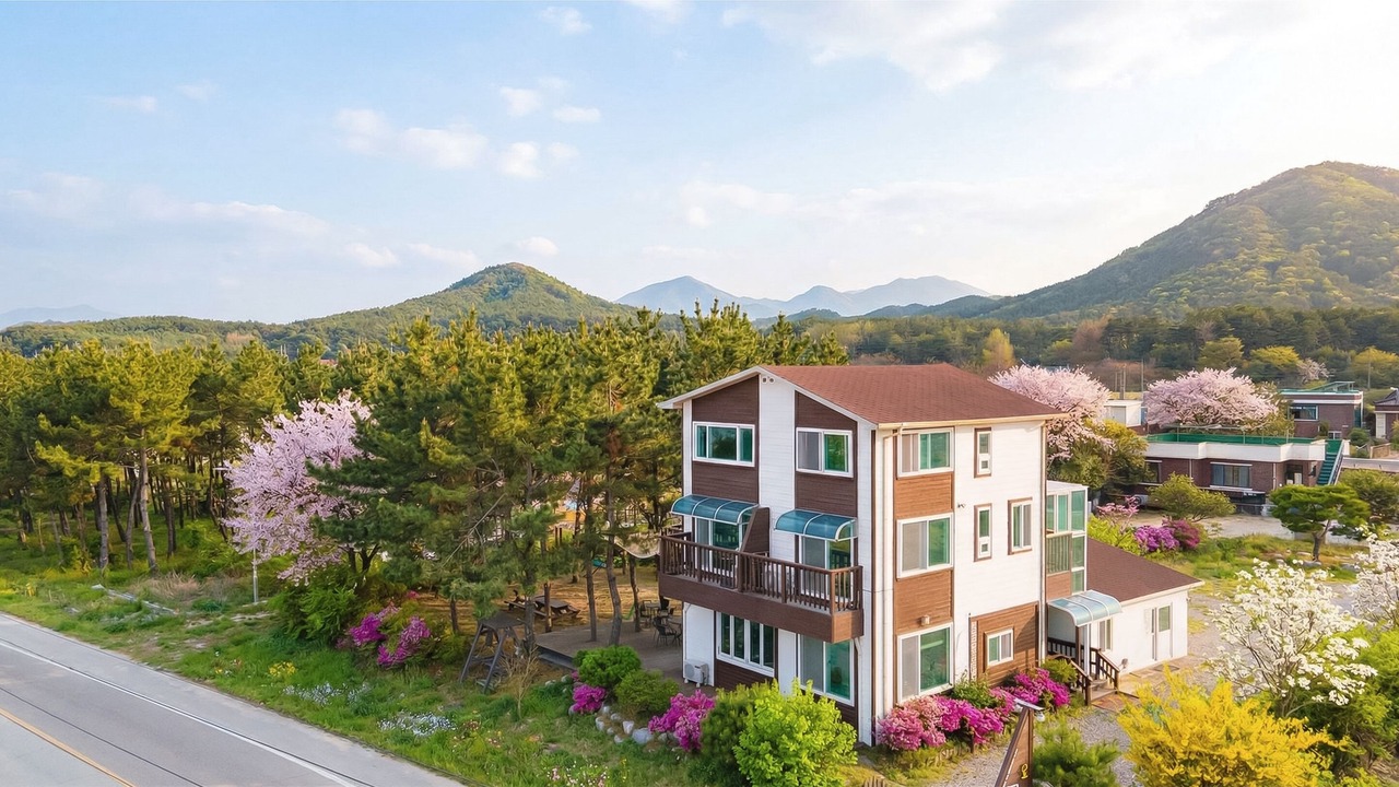 Photo of Outdoor in Goseong-gun