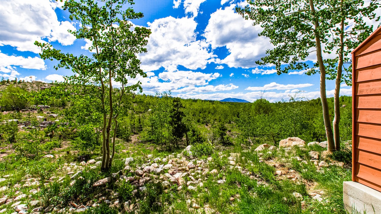 Photo of Outdoor in Bear Crossing