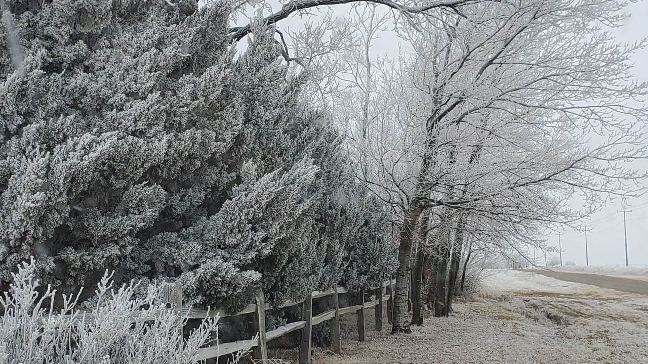 Photo of Outdoor in Prowers County