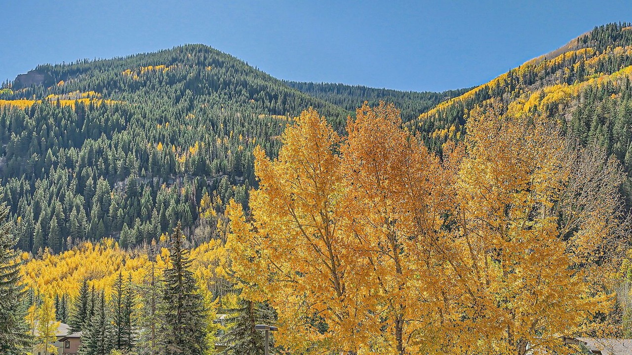 Photo of Others in Vail