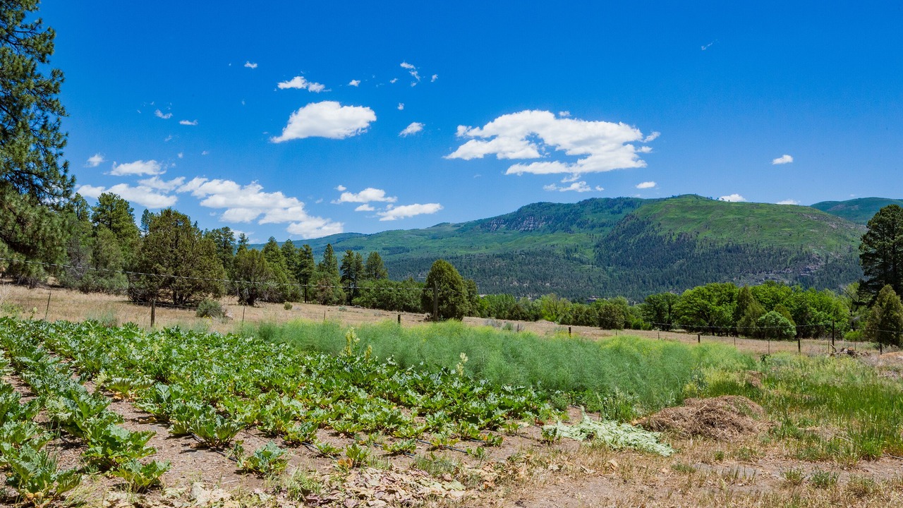 Photo of Outdoor in Durango