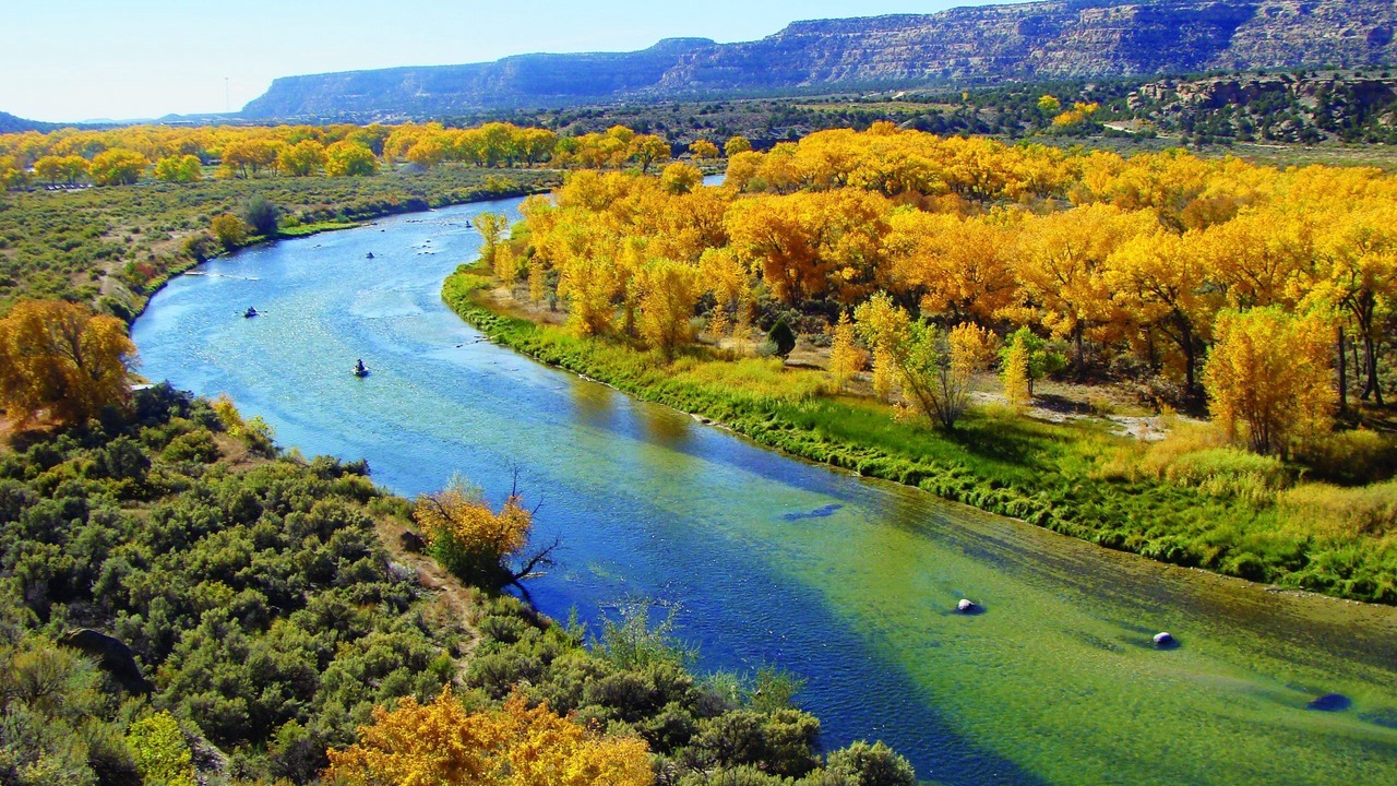 Photo of Others in Navajo Dam