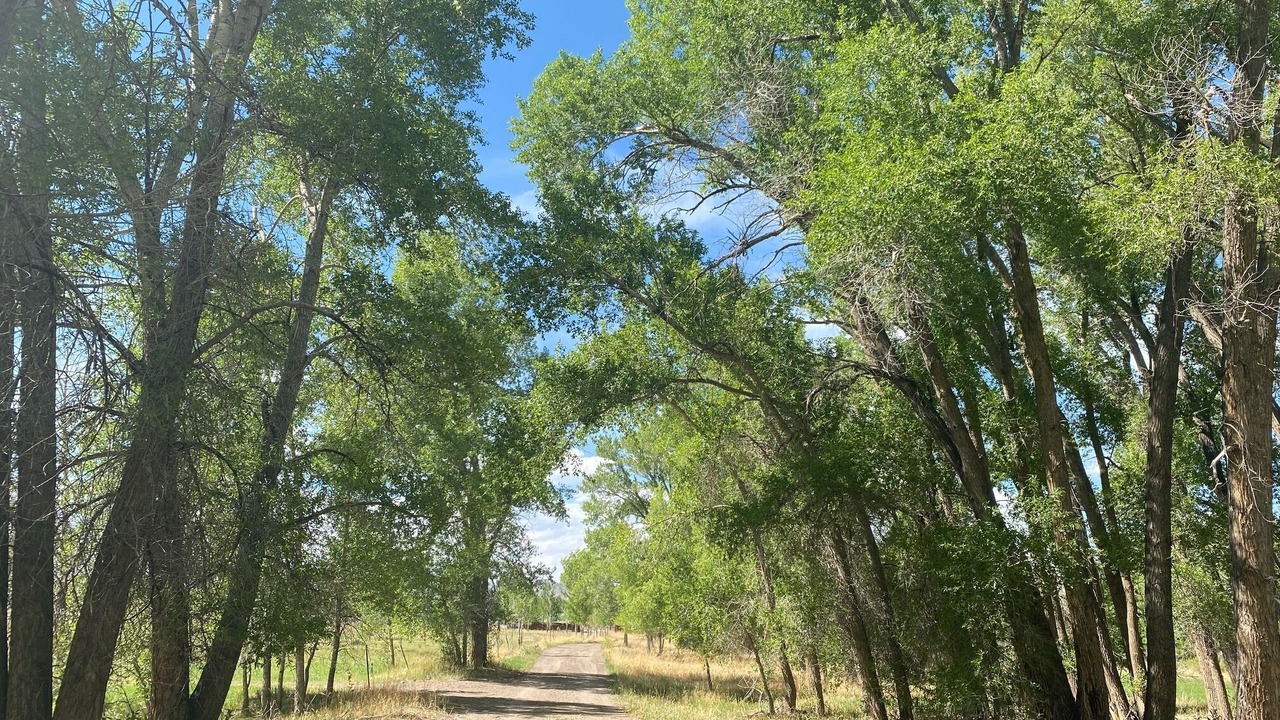 Photo of Outdoor in Del Norte