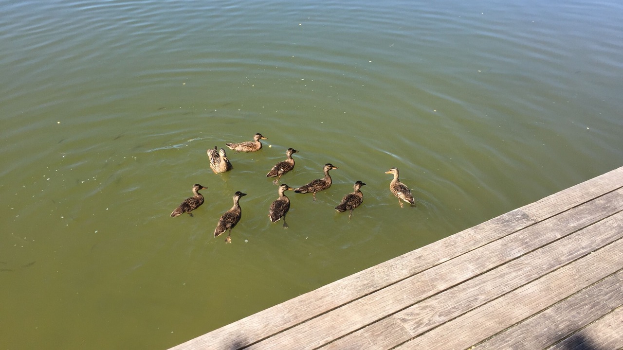 Photo of Others in Hohenfelden