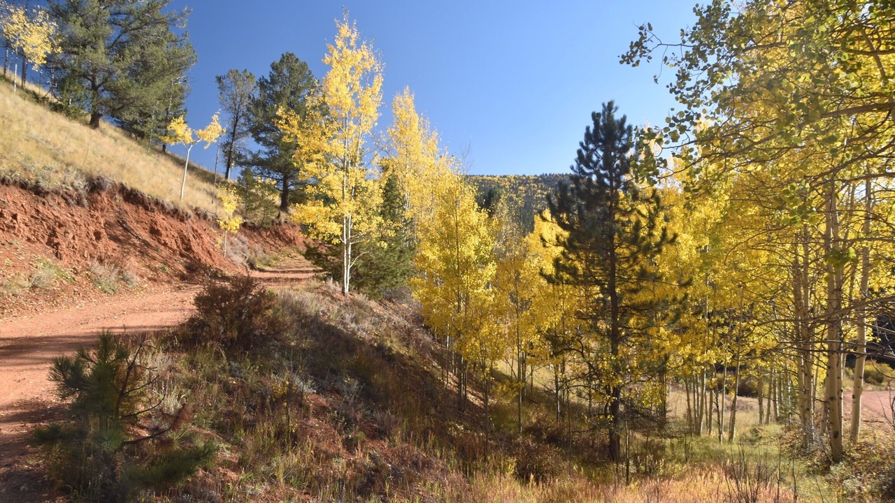 Photo of Outdoor in Rainbow Valley