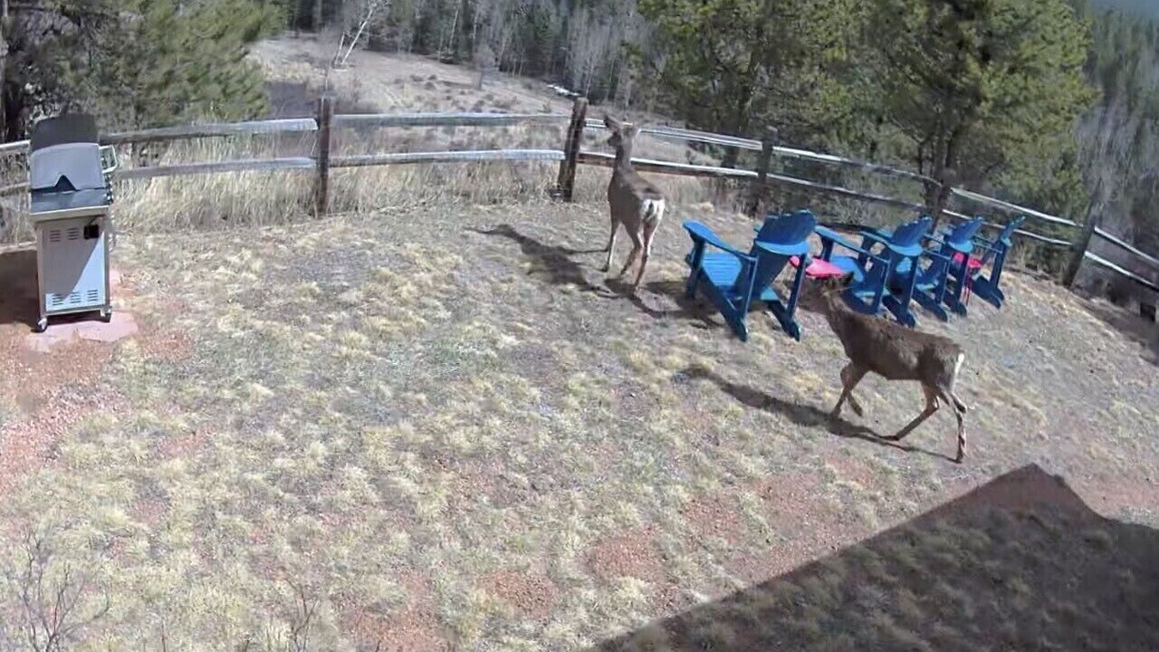Photo of Others in Rainbow Valley