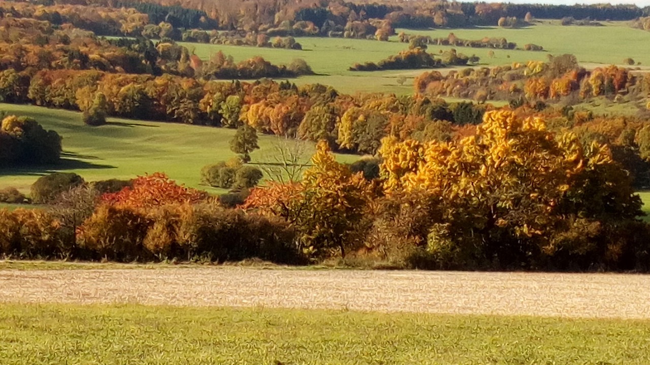 Photo of Others in Mittelsdorf