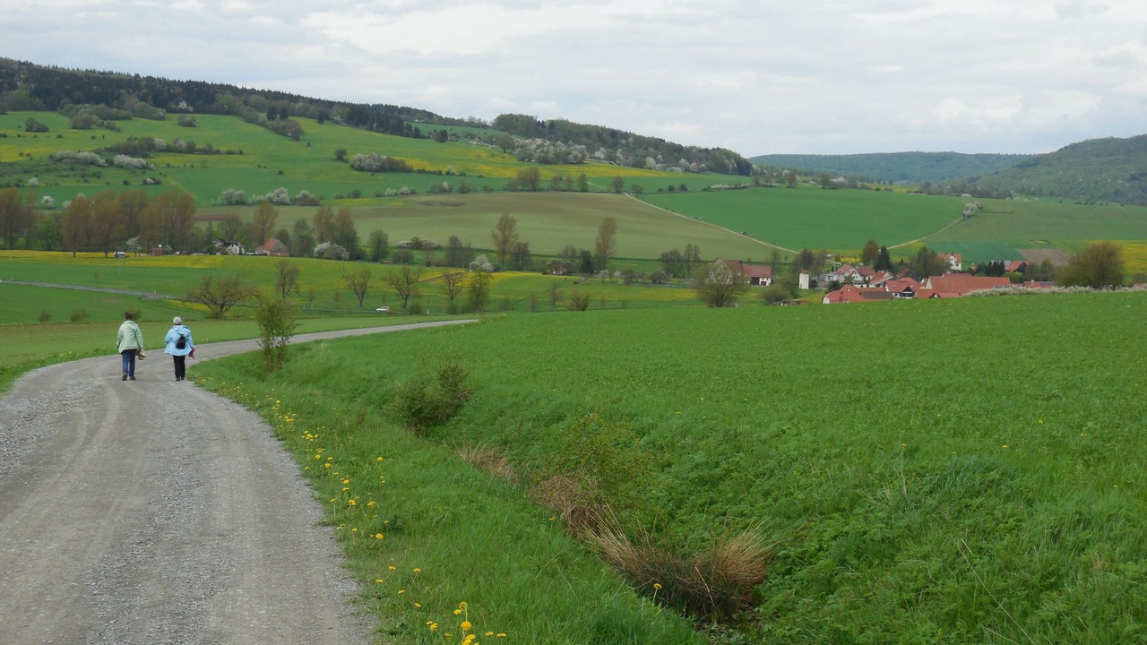 Photo of Outdoor in Mittelsdorf