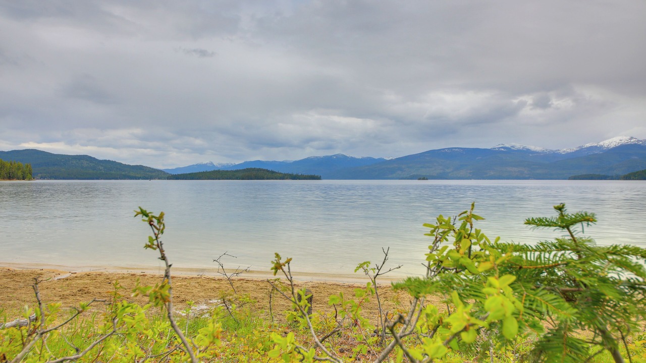 Photo of Others in Priest River