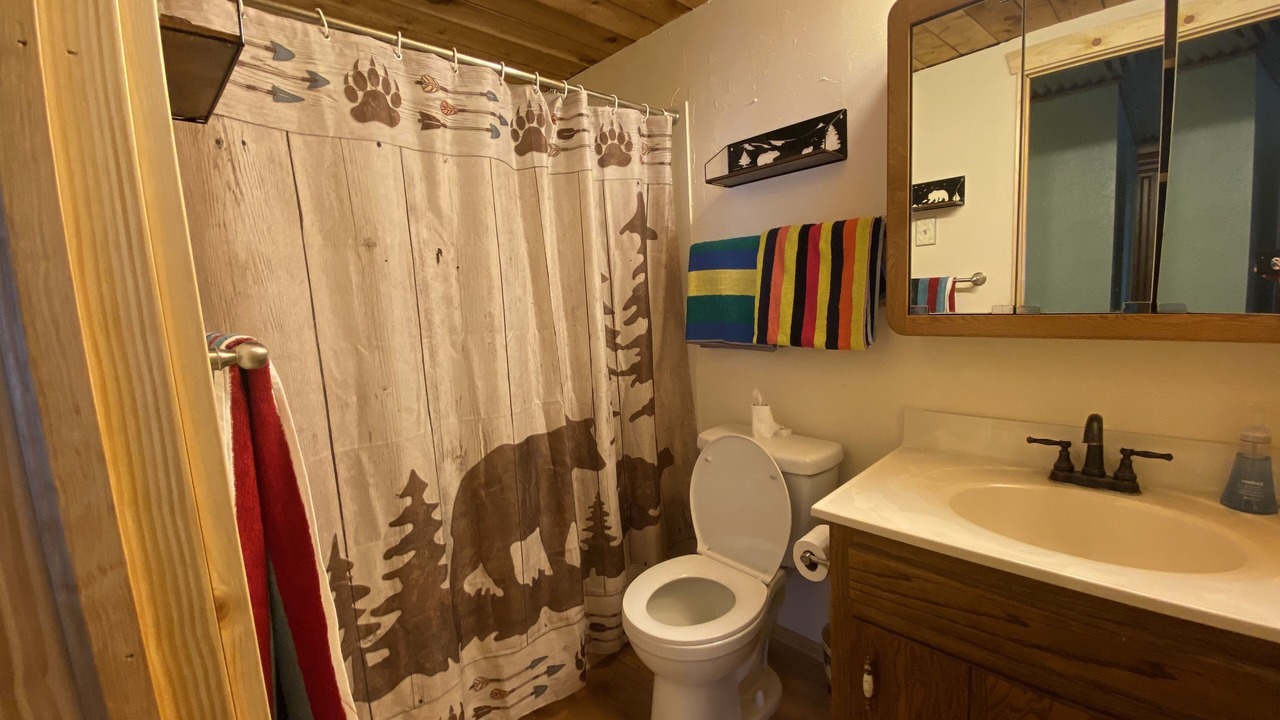 Photo of Bathroom in Forest Lakes