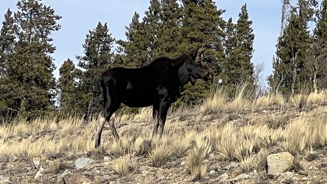 Photo of Outdoor in Valley of the Sun