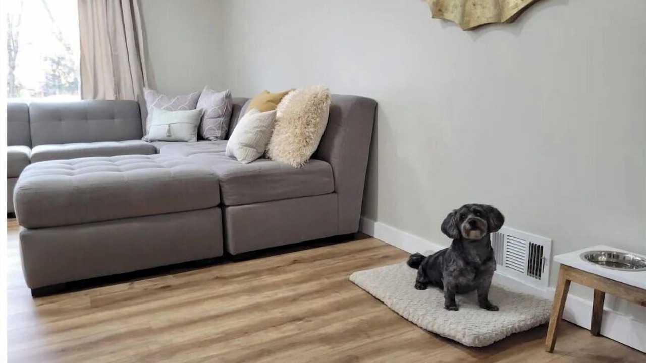 Photo of Livingroom in Alta Vista Area