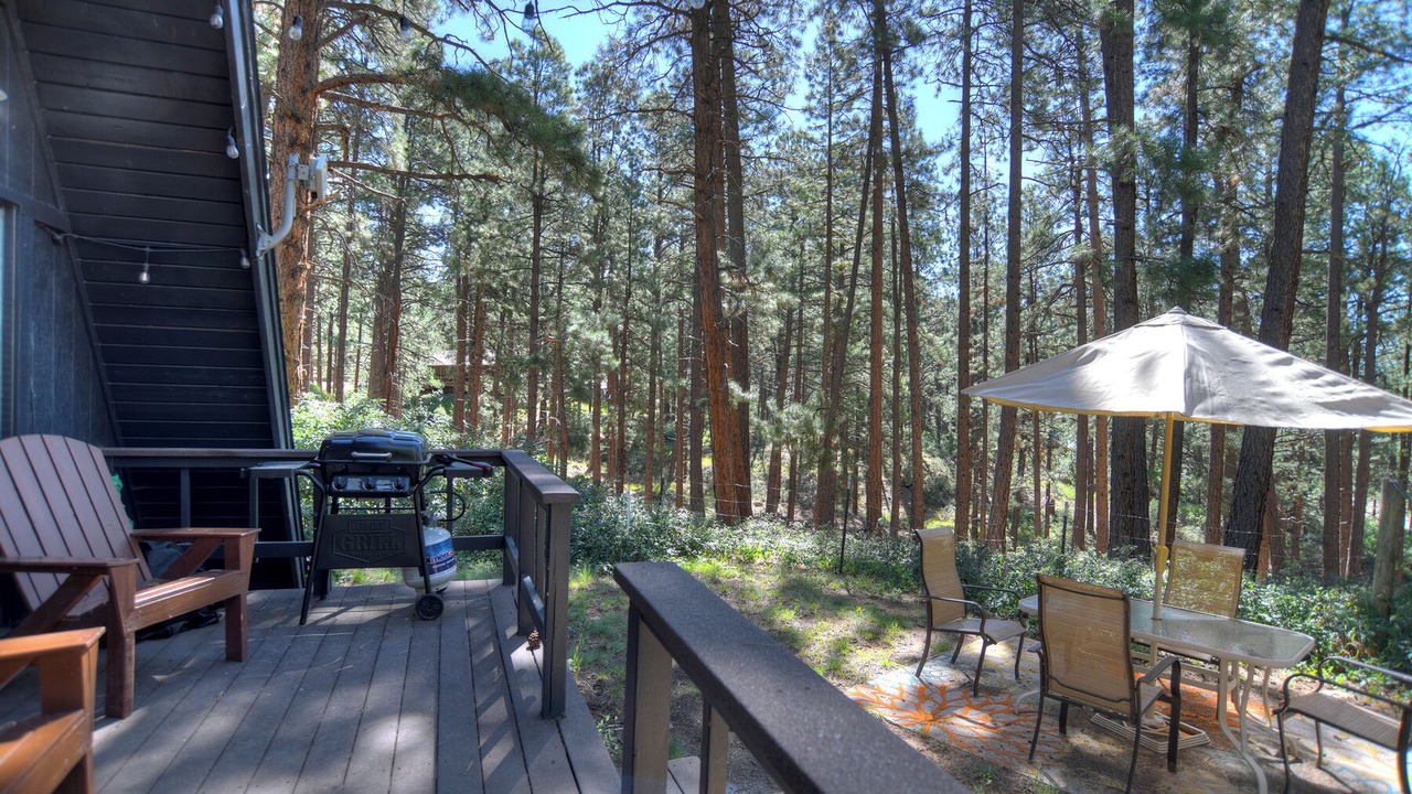 Photo of Outdoor in Forest Lakes