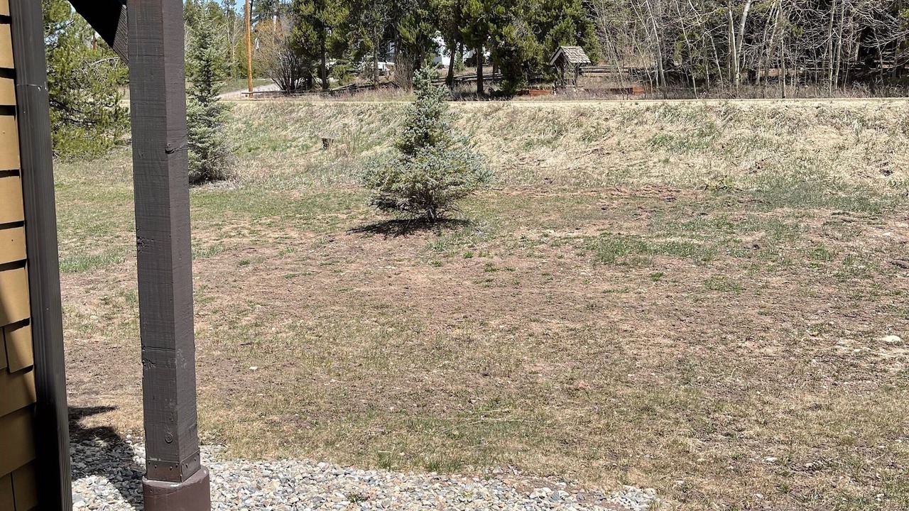 Photo of Others in Fraser