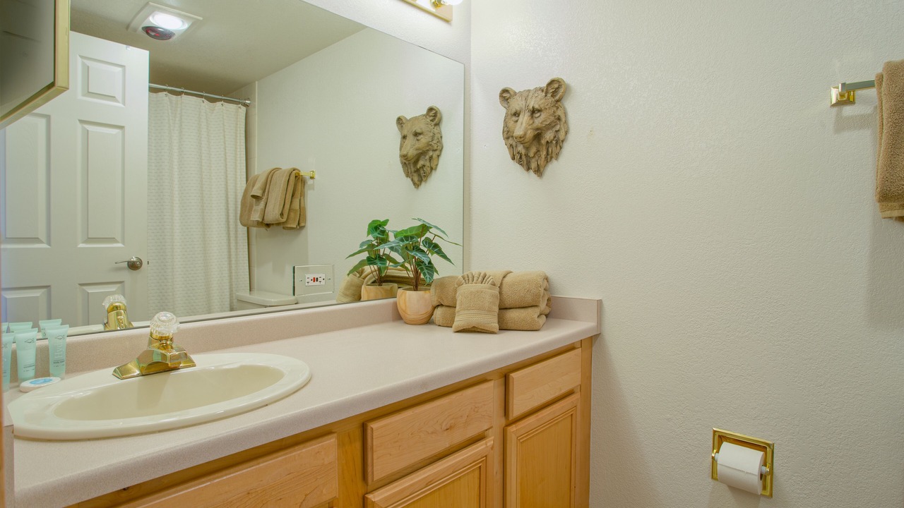 Photo of Bathroom in Frisco