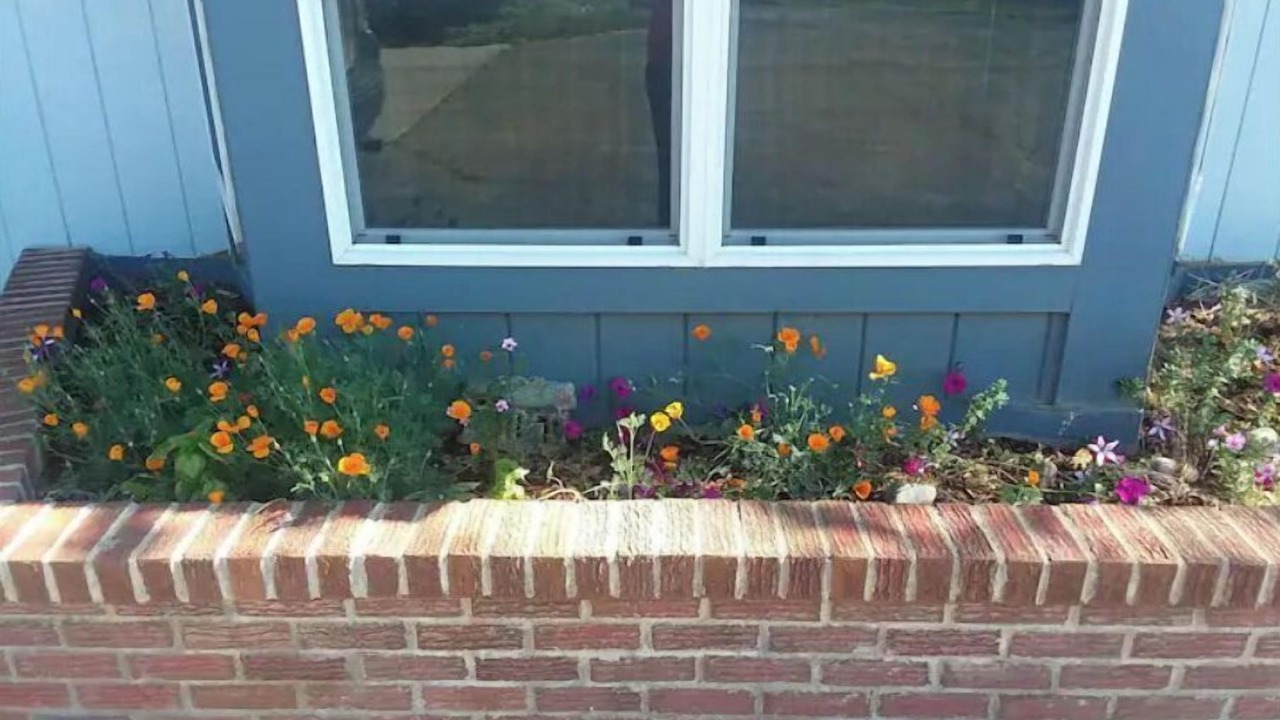 Photo of Outdoor in Bayfield