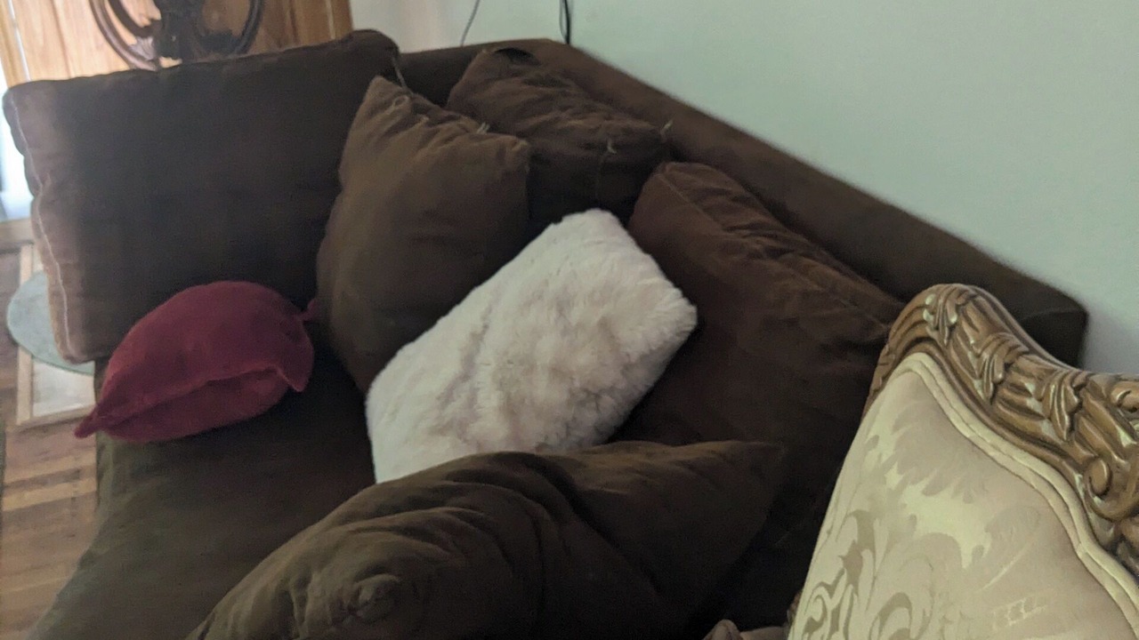 Photo of Livingroom in Golden