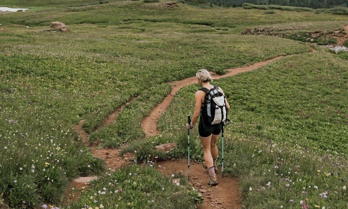 Photo of Others in Peak 8