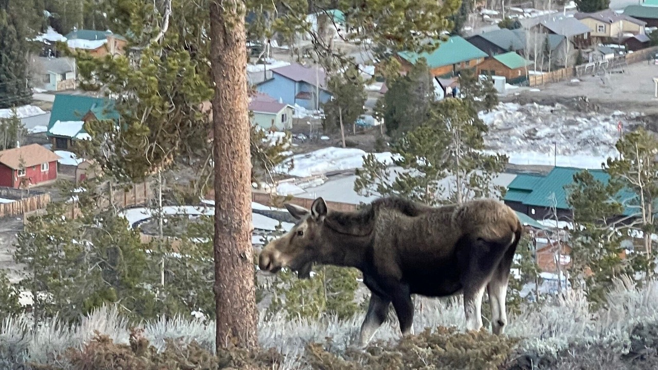Photo of Outdoor in Grand Lake