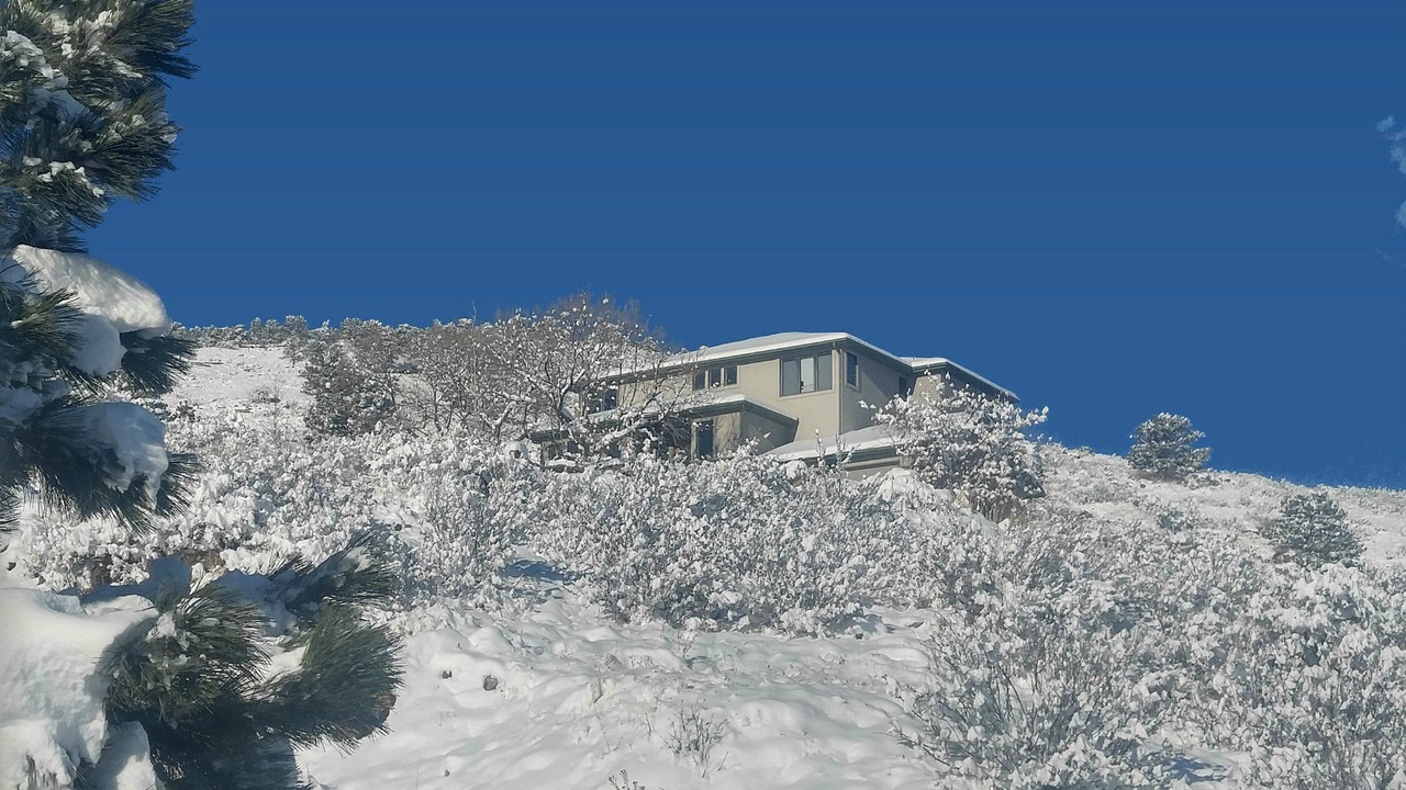 Photo of Outdoor in Longmont