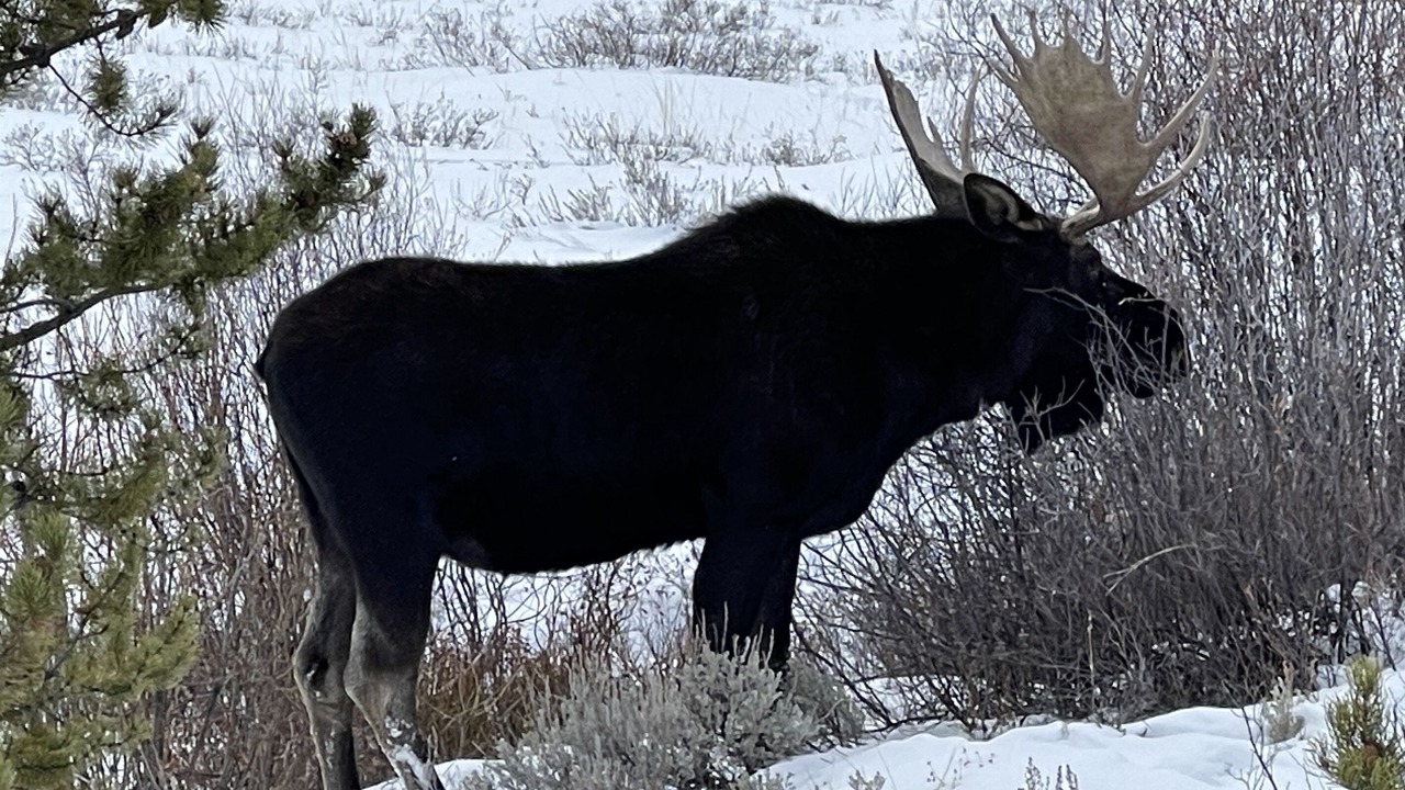 Photo of Others in The Highlands