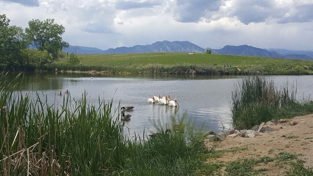 Photo of Others in Broomfield