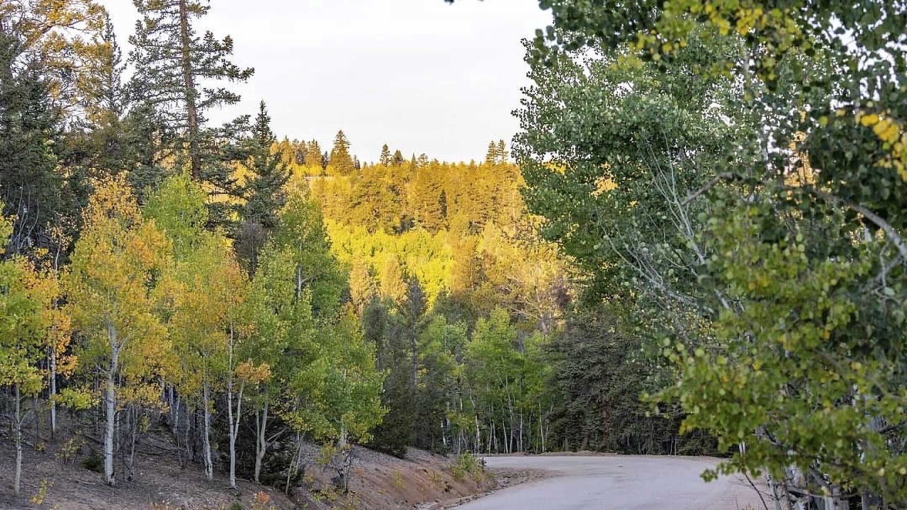 Photo of Outdoor in Indian Mountain