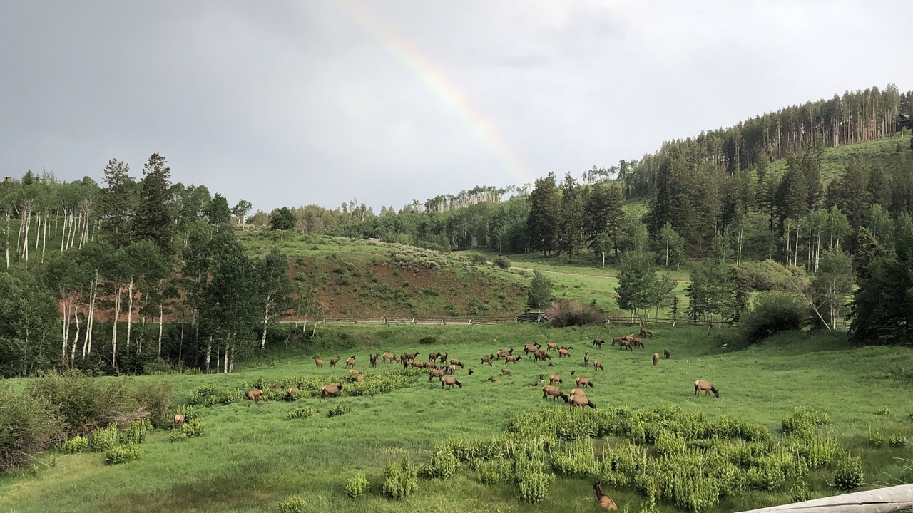 Photo of Outdoor in Cordillera