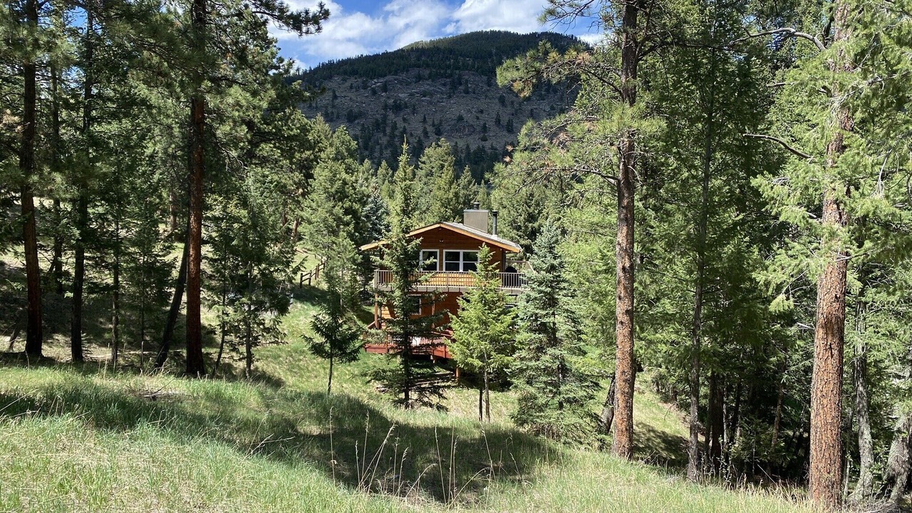 Photo of Others in Evergreen