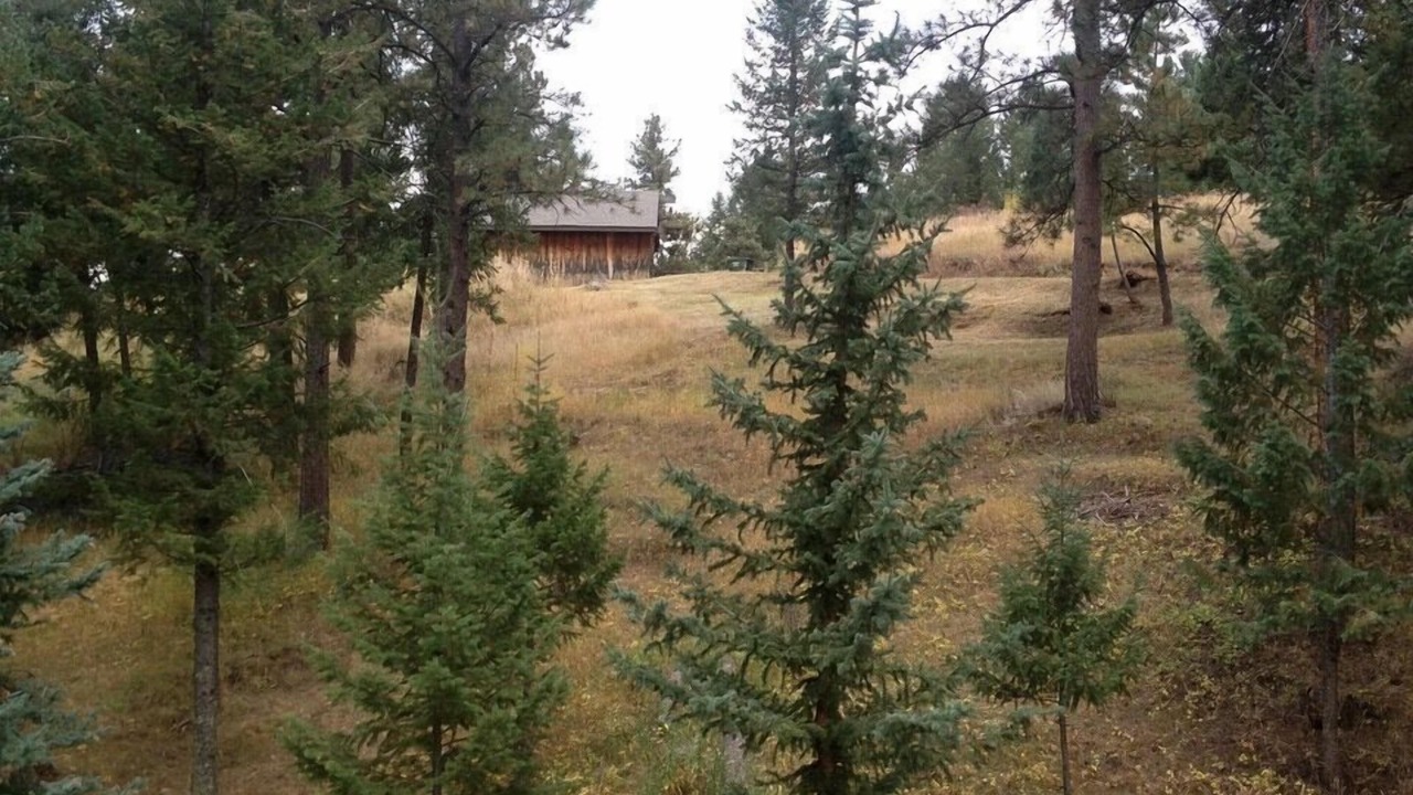 Photo of Patio Balcony in Evergreen