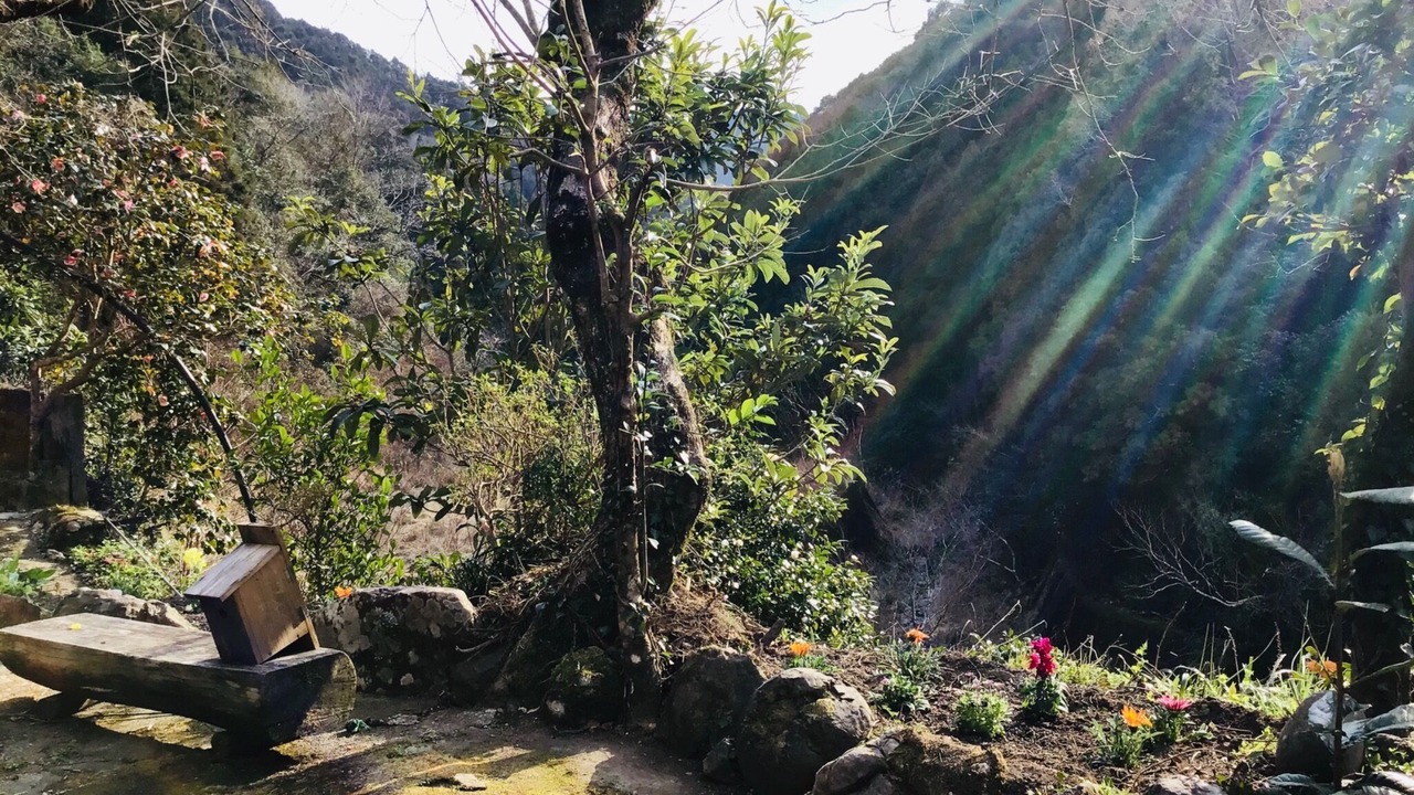 Photo of Outdoor in Hata-gun