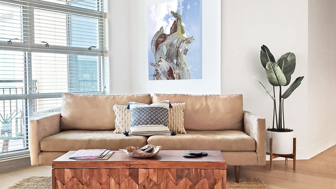 Photo of Livingroom in Central Boulder