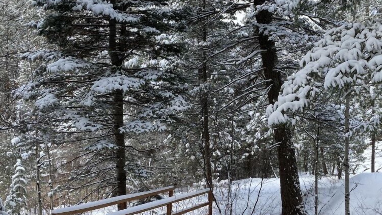 Photo of Others in Colorado Springs