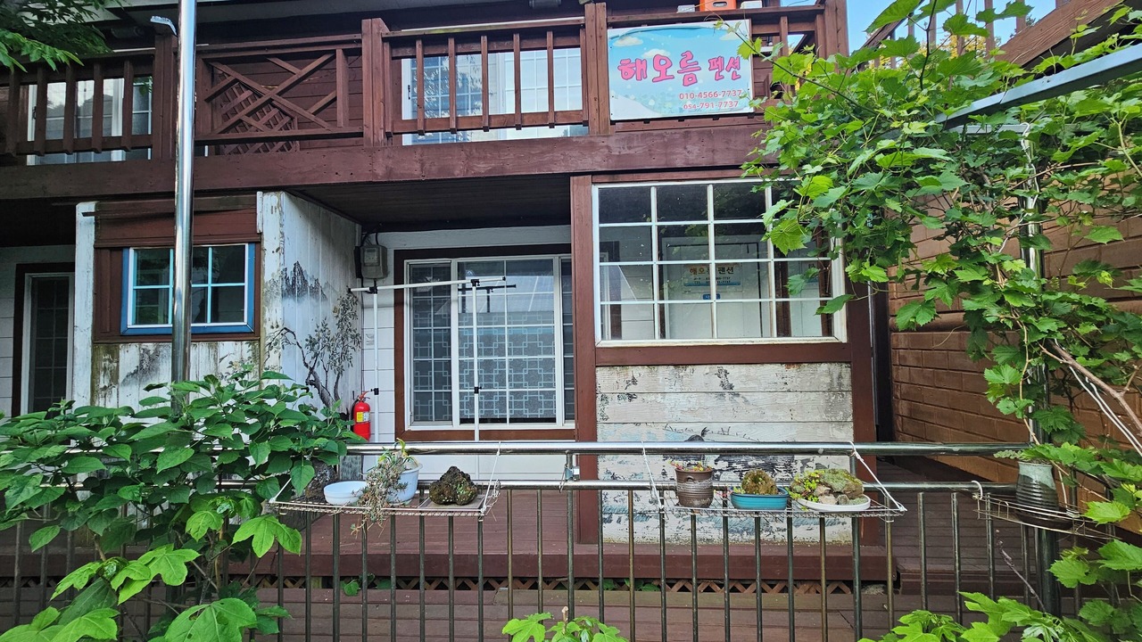 Photo of Outdoor in Ulleung-gun