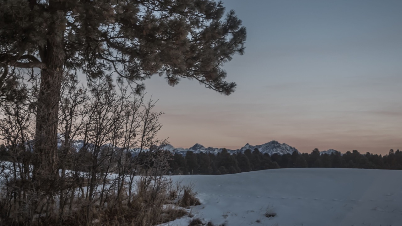 Photo of Others in Pagosa Springs