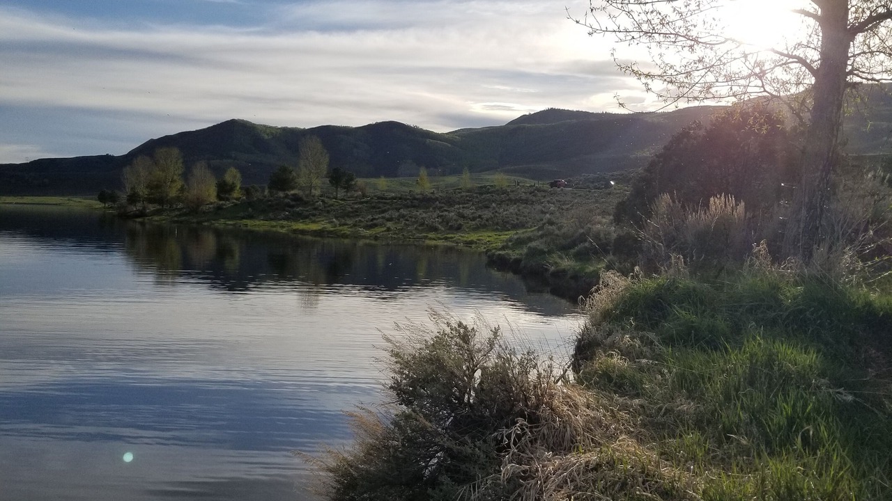 Photo of Others in Yampa