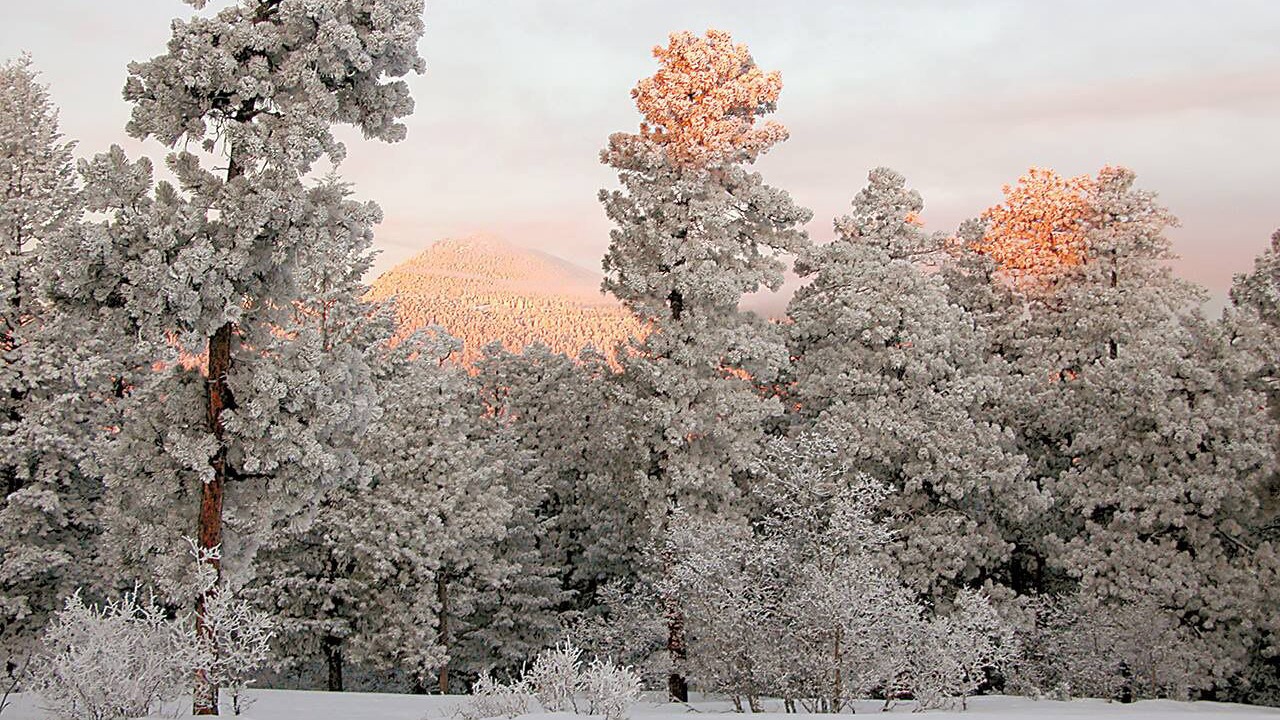 Photo of Others in Littleton