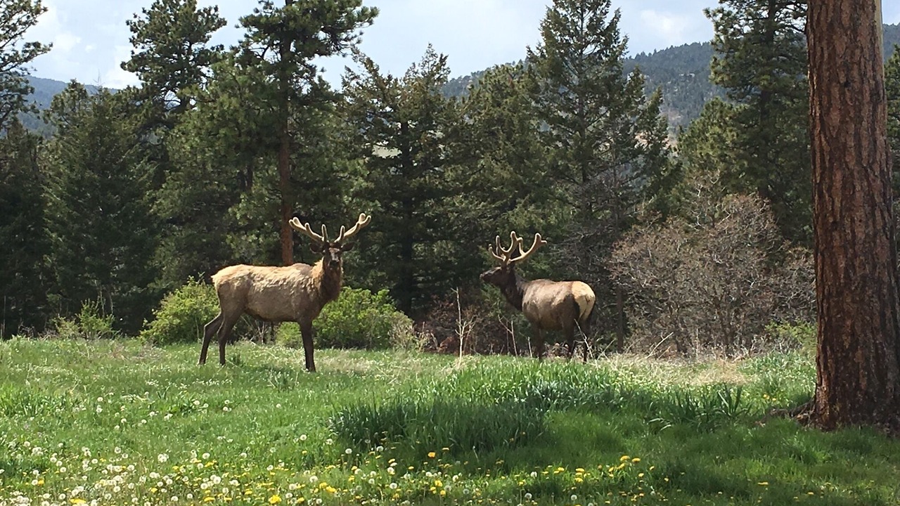 Photo of Others in Littleton