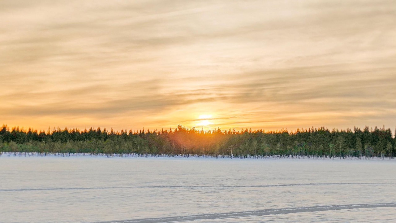 Photo of Others in Pudasjarvi