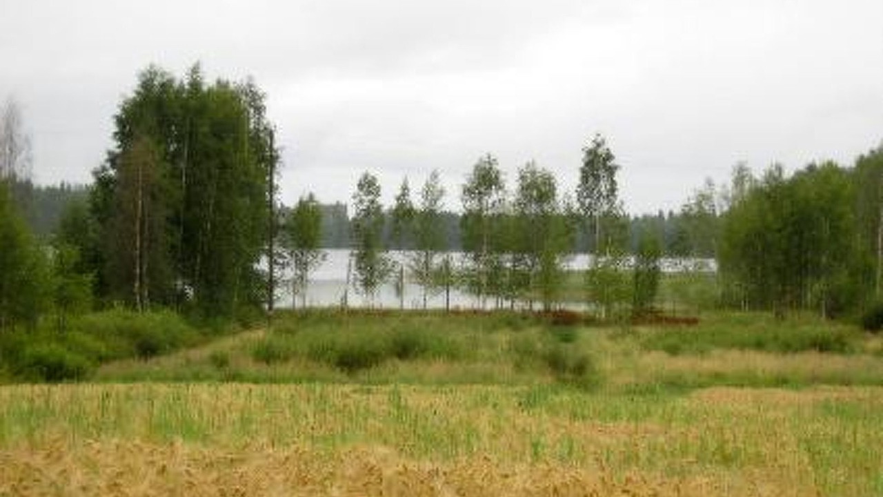 Photo of Others in Vesanto