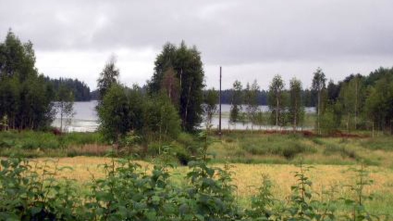 Photo of Others in Vesanto
