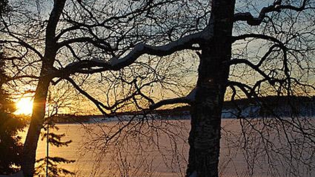 Photo of Others in Sonkajarvi