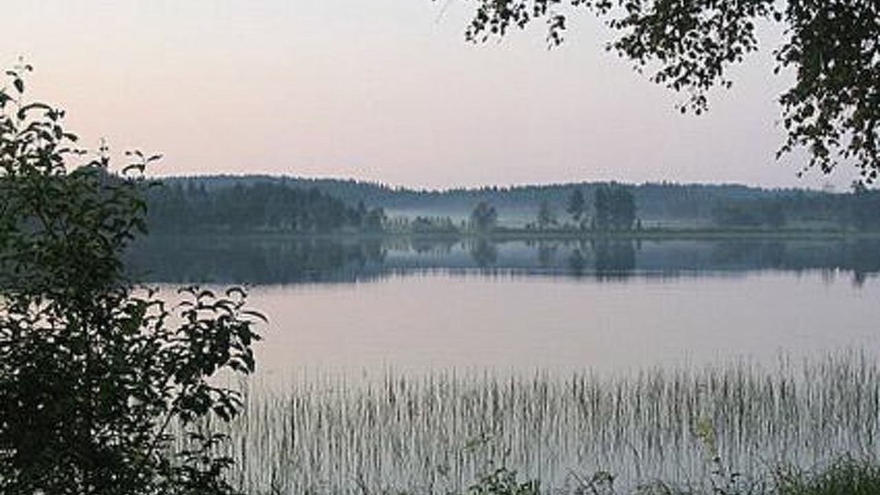 Photo of Others in Sonkajarvi