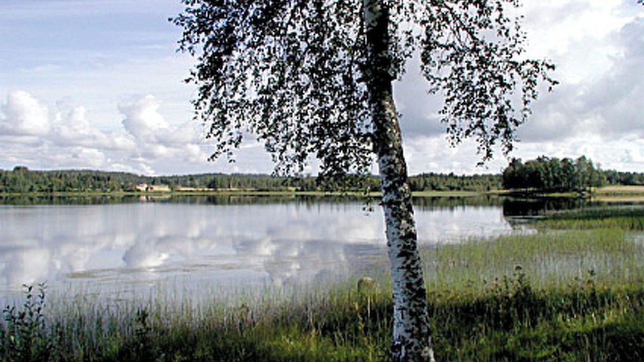Photo of Others in Sonkajarvi
