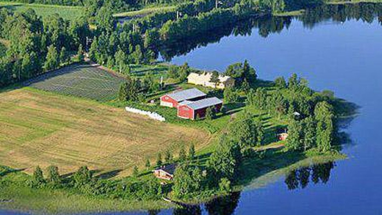 Photo of Others in Sonkajarvi