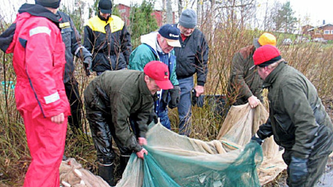 Photo of Others in Sonkajarvi