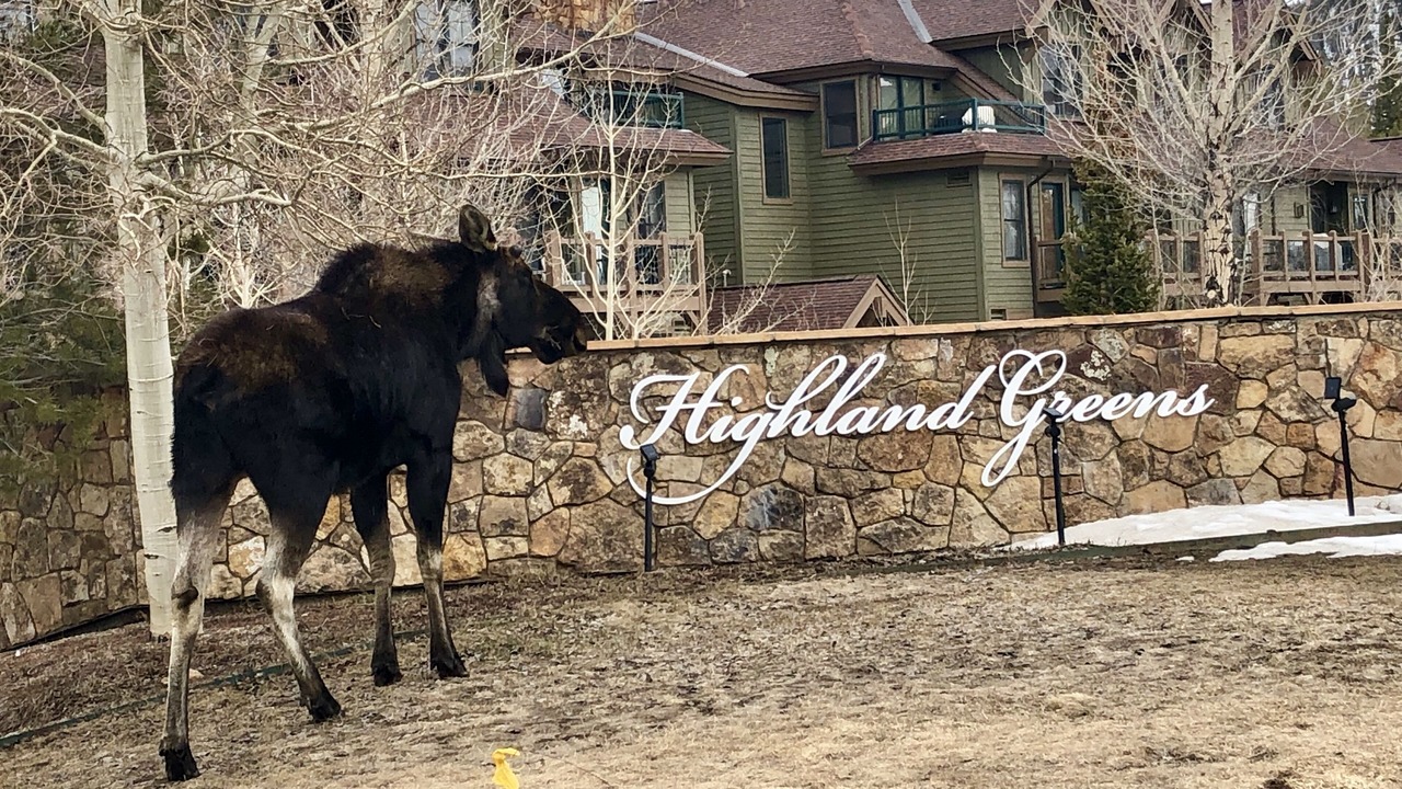 Photo of Outdoor in The Highlands